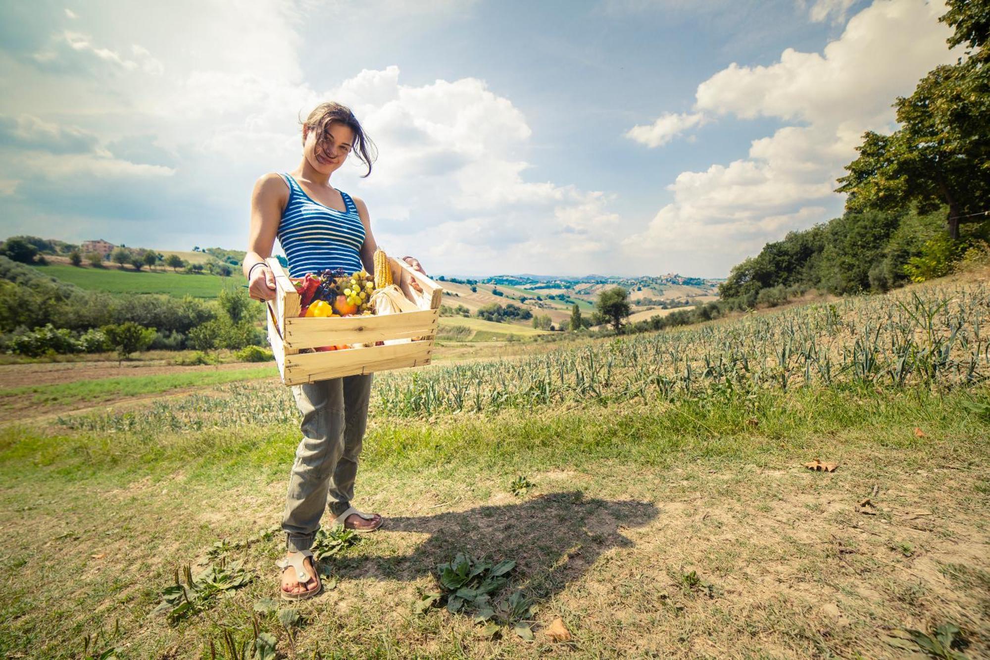 Agriturismo Fonte Carella Villa Monte San Pietrangeli Buitenkant foto